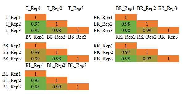 Figure 5. Pearson Correlation Coefficients for Protein Quantification across Different Sample Types. T: 293T cells; BL: Rape Leaves; BR: Rape Roots; BS: Rape Stems; RK: Rat Kidneys